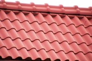 метллочерепица метллочерепица