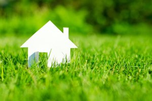 найти земельный участок