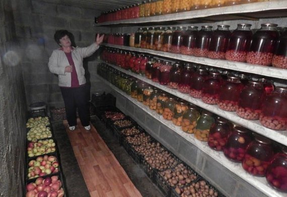 Вентиляция в погреб своими руками