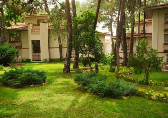 Зеленый двор