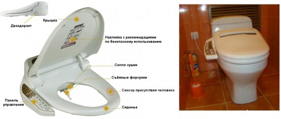 Как подобрать нужное сиденье для унитаза