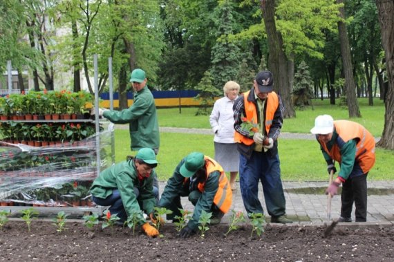 Порядок работ по благоустройству и озеленению участка