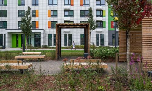 В Севастополь вслед за уплотнительной и пляжной застройкой пришла новая напасть