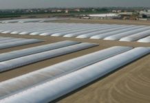 Калужская птицефабрика внедрила инновационную технологию хранения зерна в открытом поле