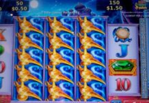 Мегареалистичные 3D-слоты в казино онлайн