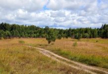 Геология в Орехово-Зуевском районе