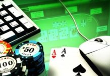 В какие онлайн слоты играет большинство начинающих гемблеров?