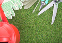 Как выбрать рулонный газон