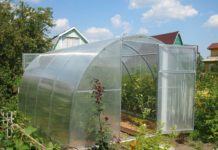 Правила выбора сотового поликарбоната для теплиц