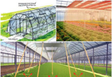 Установка ИК отопления в теплицах