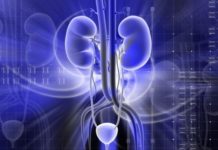 Проблемы мочеполовой системы у мужчин и их специфика