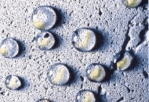 Принцип действия гидроизоляционных добавок в бетон