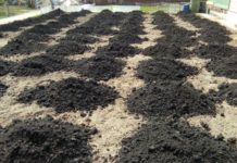 Что такое качественный почвогрунт?