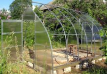 Как выбрать теплицу из поликарбоната: советы профессионалов