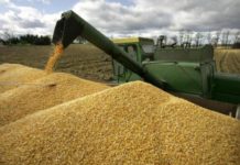 Экспорт зерна в Казахстане