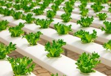 Агробизнес: технологии, идеи, системы, программы