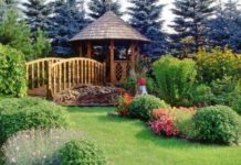 Как правильно благоустроить земельный участок?