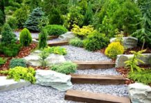 Идеи ландшафтного дизайна для участка