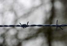 Описание и область применения колючей проволоки Егоза