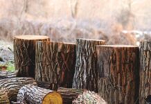 Как обращаться с порубочными остатками?