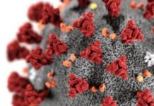 Дезинфекция от коронавируса: действенные способы обработки