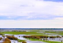 Долина: уникальный проект для Волгоградской области