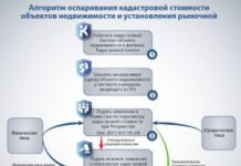 Оспаривание кадастровой стоимости: как происходит?