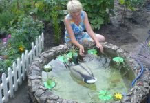 Декоративный пруд из старой покрышки своими руками