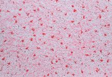 Чем хороши жидкие обои?