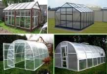 Особенности и виды теплиц