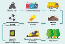 Важность услуги вывоза мусора