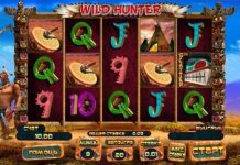 Виды слотов в казино Вулкан