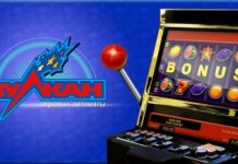 Коллекция игровых автоматов клуба Вулкан