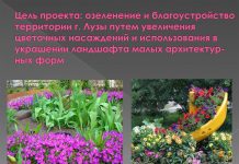 Цель благоустройства территории