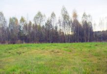 Земельные участки в Выборгском районе