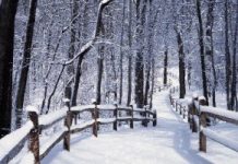 Типы садовых дорожек