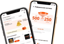 Создание мобильного приложения BAMS!DELIVERY для удобной и быстрой доставки еды
