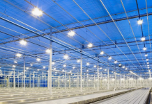 Промышленные светодиодные светильники: Инновации, Эффективность и Экологичность в Одном Облике