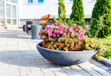 Насыщенные красками Жизни: Цветочницы и Уличные Вазоны в Облике Городских Оазисов