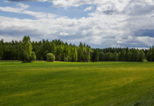 Земельные участки в посёлках Московской области: идеальное сочетание комфорта и природы