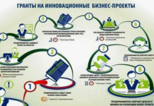 Как правильно организовать регистрацию бизнеса: ключевые этапы и советы