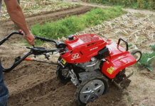 Мотоблок или мотокультиватор: что лучше для вашего сада?