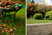 Пылесосы парковые: зачем они нужны и как выбрать лучший для улицы